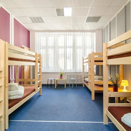 Vandrerhjem Amnezja *